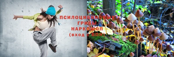 героин Белокуриха