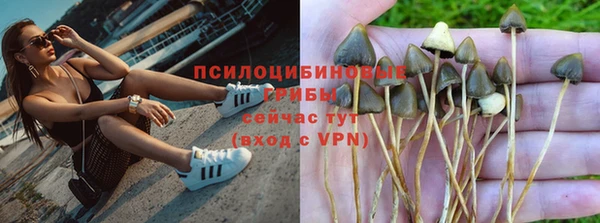 героин Белокуриха